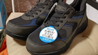 CEDAR CRESTスパットシューズ