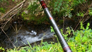 Thumbnail of post image 075